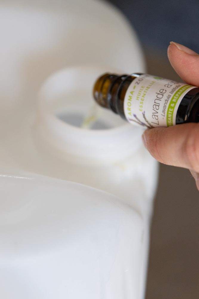 Huile essentielle de Lavandin Super Anglet